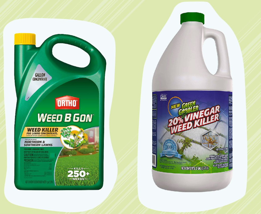 The 9 Best Weed Killers of 2023