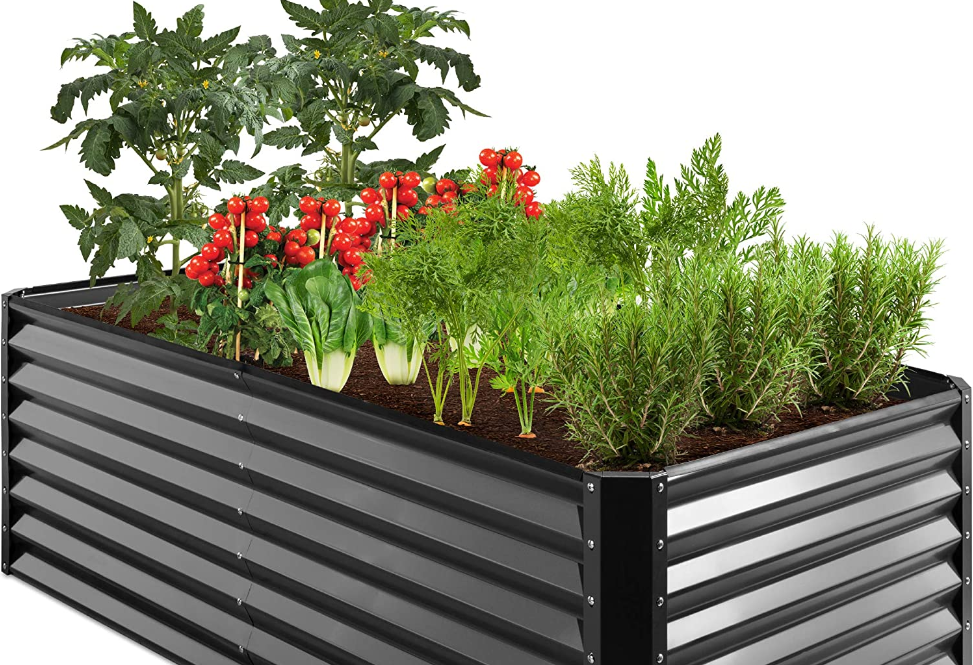 The 7 Best Raised Garden Beds of 2023