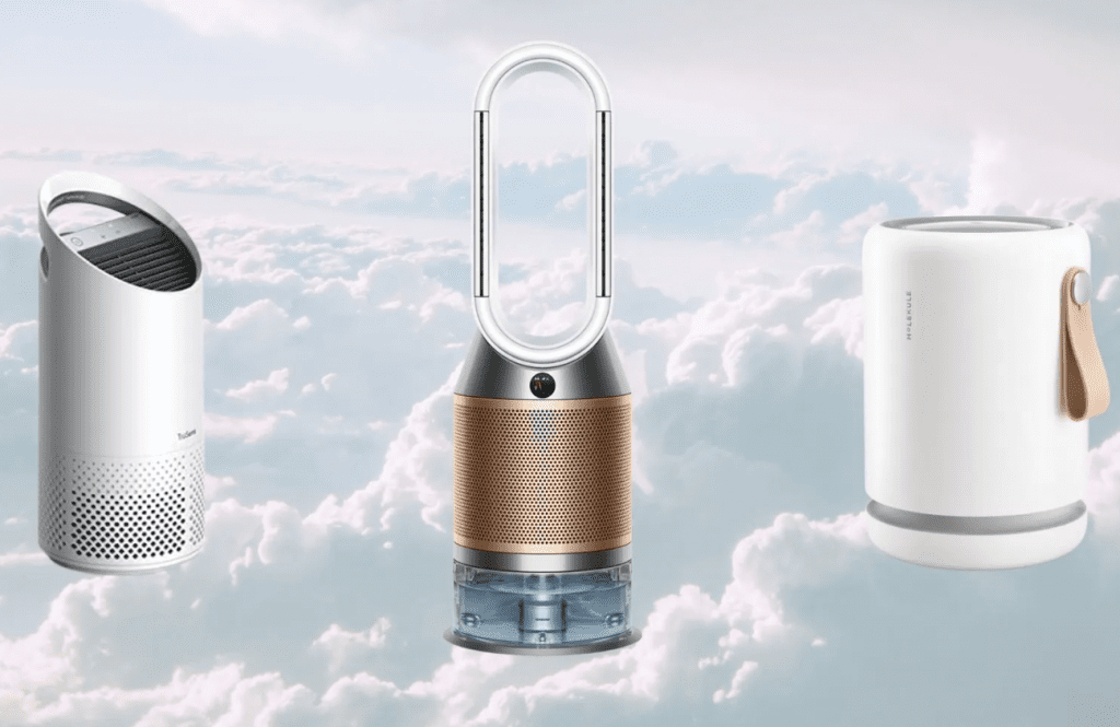 The Best Air Purifiers for Mold in 2023