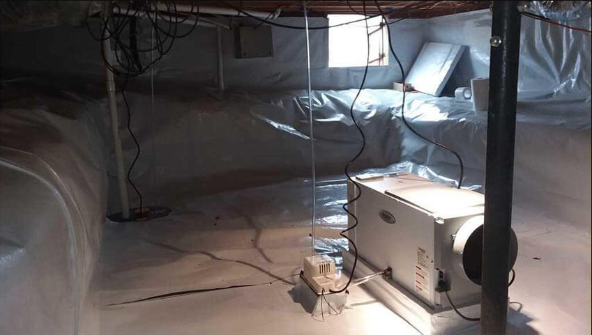 9 Best Crawl Space Dehumidifiers of 2023