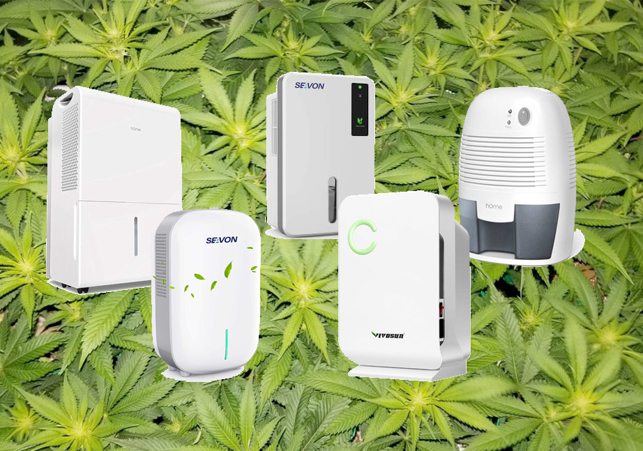 The 8 Best Grow Tent Dehumidifiers for 2023