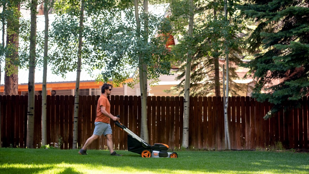 10 Best Lawn Edgers Tested 2023