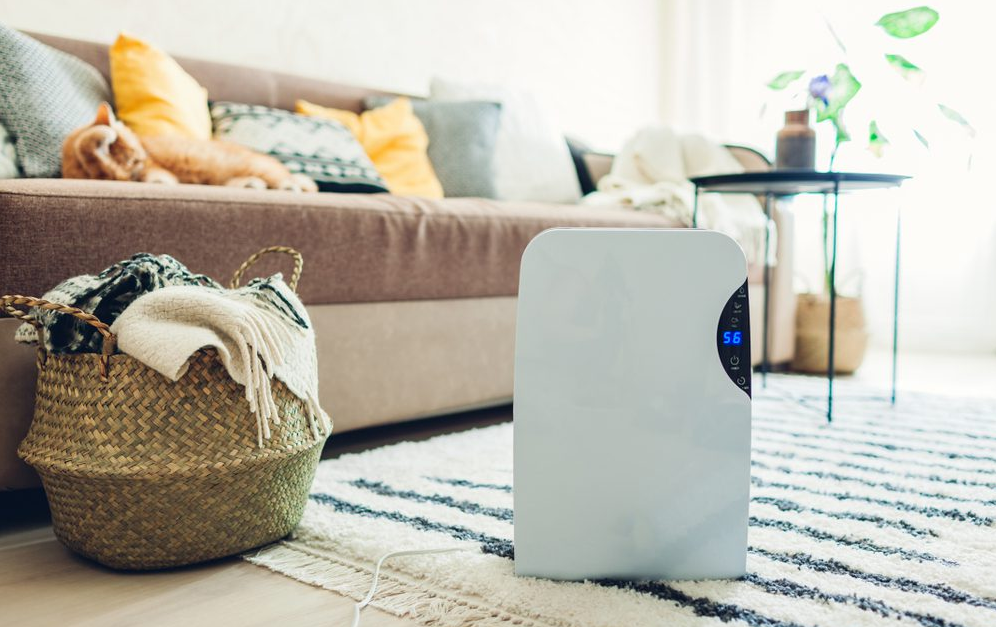 What does a dehumidifier do, its pros and cons
