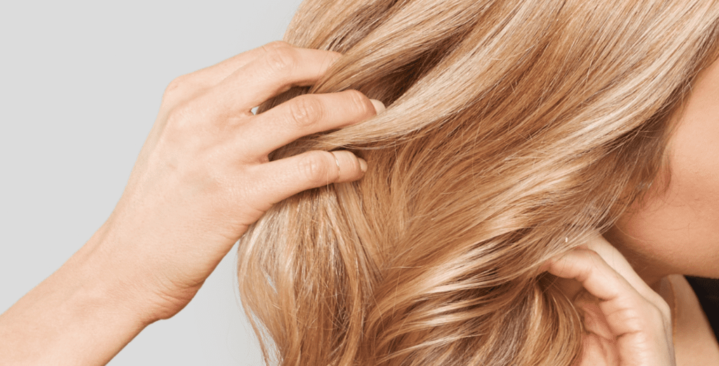 How to use purple shampoo and conditioner