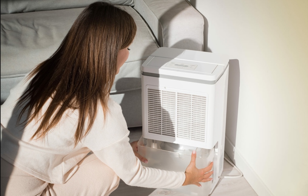 How does a dehumidifier work?